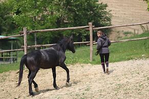 Agriturismo Le Querce del Vareglio