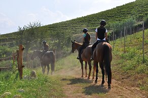 Agriturismo Le Querce del Vareglio