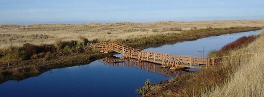 Beachwood Condos & Resort