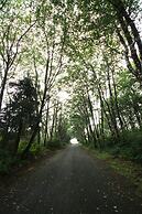 Beachwood Condos & Resort