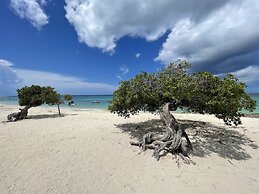 Swiss Paradise Aruba