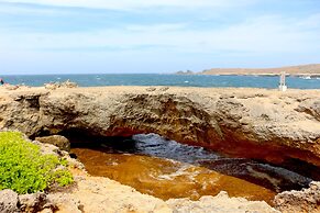 Swiss Paradise Aruba