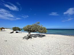 Swiss Paradise Aruba