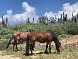 Swiss Paradise Aruba