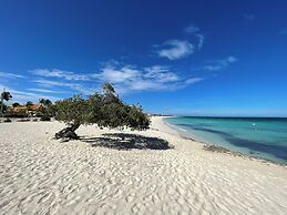Swiss Paradise Aruba