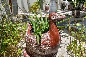 Swiss Paradise Aruba