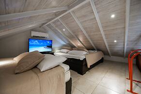 Swiss Paradise Aruba