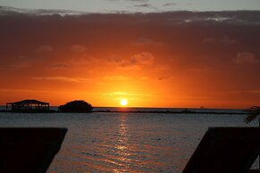 Coral Reef Beach Aruba