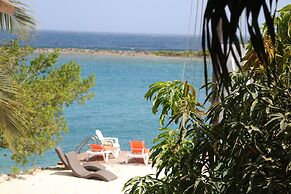 Coral Reef Beach Aruba