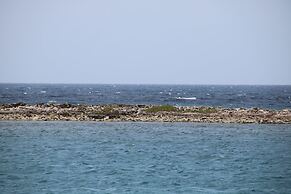 Coral Reef Beach Aruba