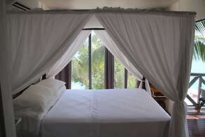 Coral Reef Beach Aruba