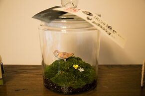 Guesthouse Tomari-ya Caters to Women