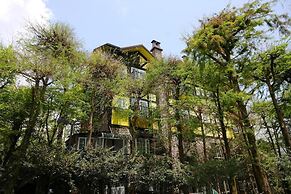 Provence Rose Lodge in Ching Jing