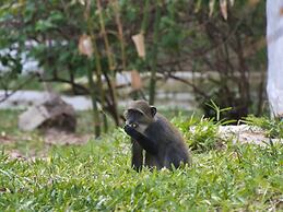 Barracuda Inn Resort