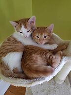 Susan's Sanctuary Bed & Breakfast