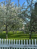 Williston Village Inn