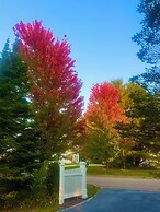 Williston Village Inn