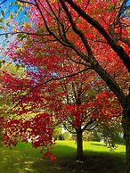 Williston Village Inn