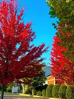 Williston Village Inn