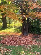 Williston Village Inn