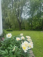 Williston Village Inn