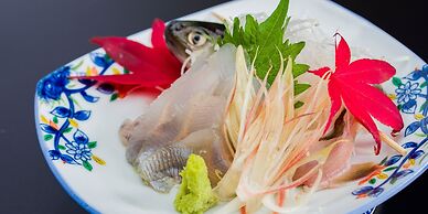 Yudanaka Ryokan Hakura