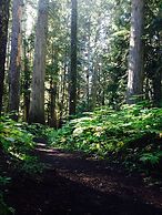 Belle Neige Suites- Whistler