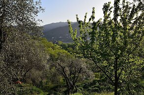 Luce Stellata