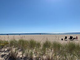 The Ocean View