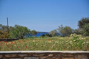 Michalis Apartments near the beaches with sea view