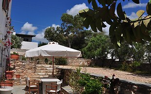 Michalis Apartments near the beaches with sea view