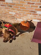 River Country Motor Lodge