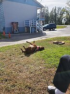 River Country Motor Lodge