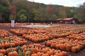 Forrest Hills Mountain Resort