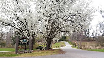 Forrest Hills Mountain Resort