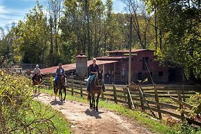 Forrest Hills Mountain Resort