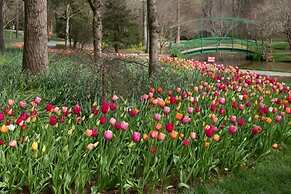 Forrest Hills Mountain Resort