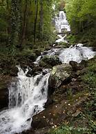 Forrest Hills Mountain Resort