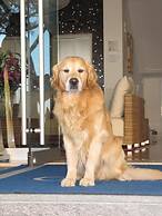 Hotel Croce di Malta