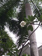 Thao Dien Boutique Hotel