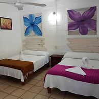 Posada Amor Hotel Boutique