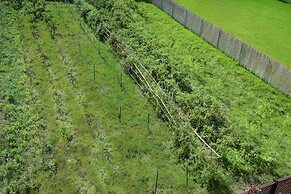 Maleme Mare Beach Resort Hotel