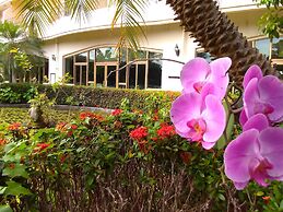 Howard Kenting Wonder House