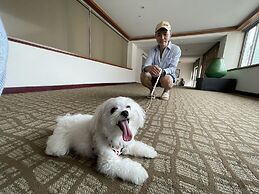 Howard Kenting Wonder House