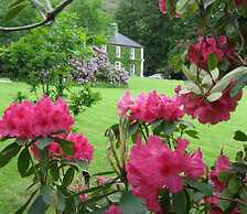 Delphi Lodge & Estate