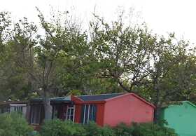 Pet Family Camping Cortina