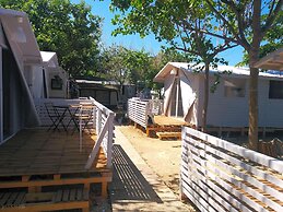 Pet Family Camping Cortina