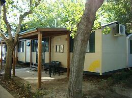 Pet Family Camping Cortina