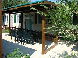 Pet Family Camping Cortina