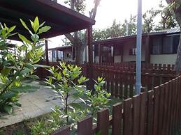 Pet Family Camping Cortina